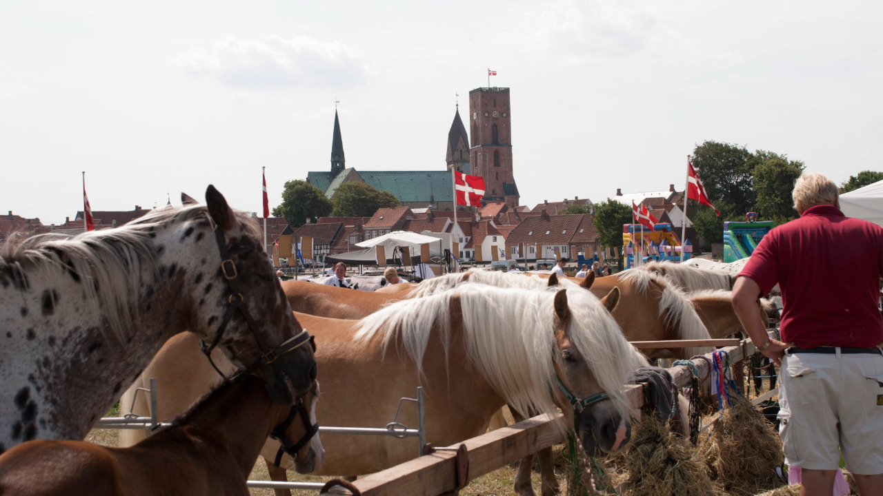 Ribe Dyrskue fejrer 160-års jubilæum