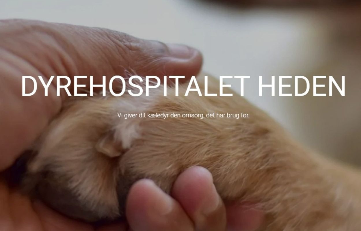 Dyrehospitalet Heden tilbyder døgnhospital med vagtdyrlæge