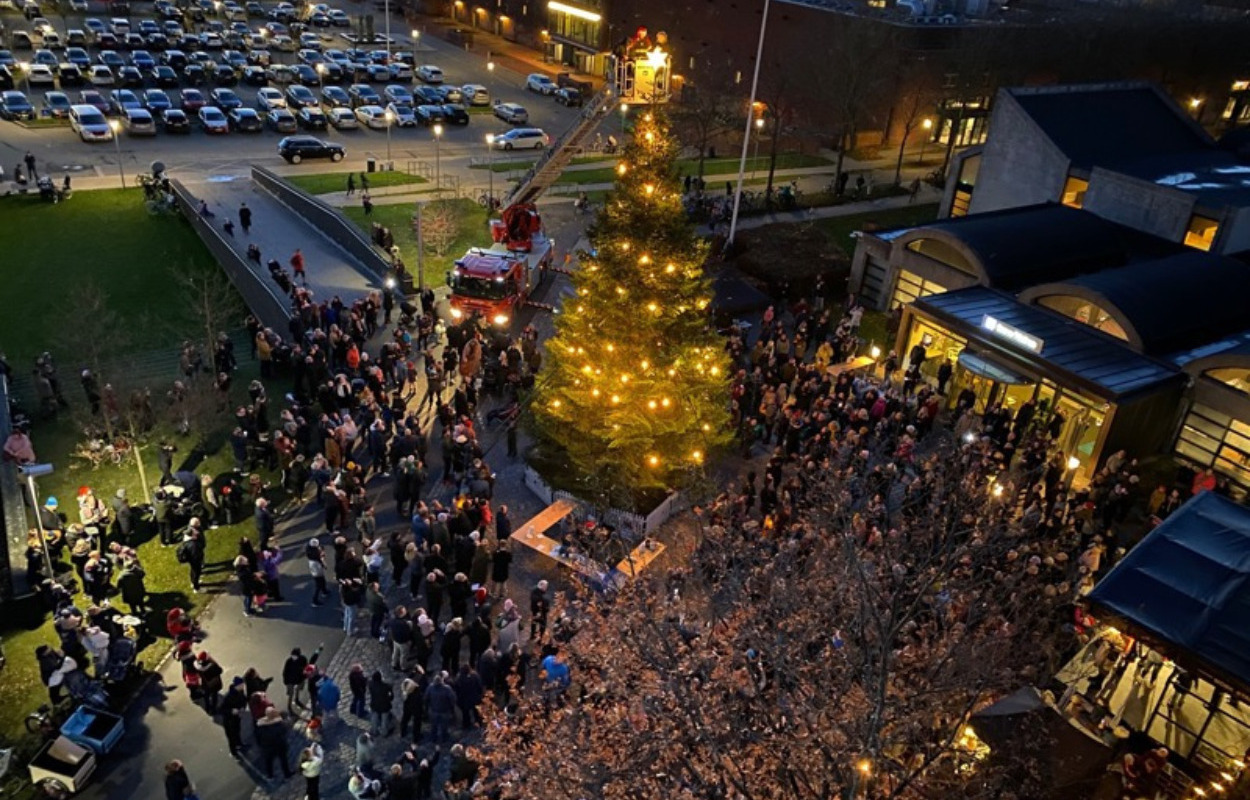 Juletræstænding: Sammen om julen i Greve Kommune