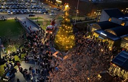 Juletræstænding: Sammen om julen i Greve Kommune