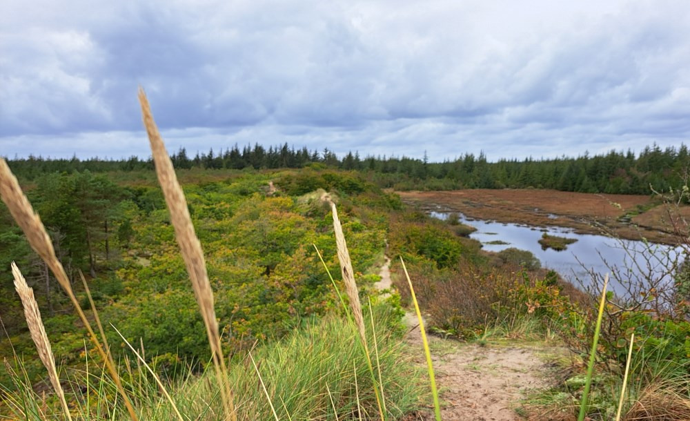 Gå i gang med Nationalpark Thy Venner