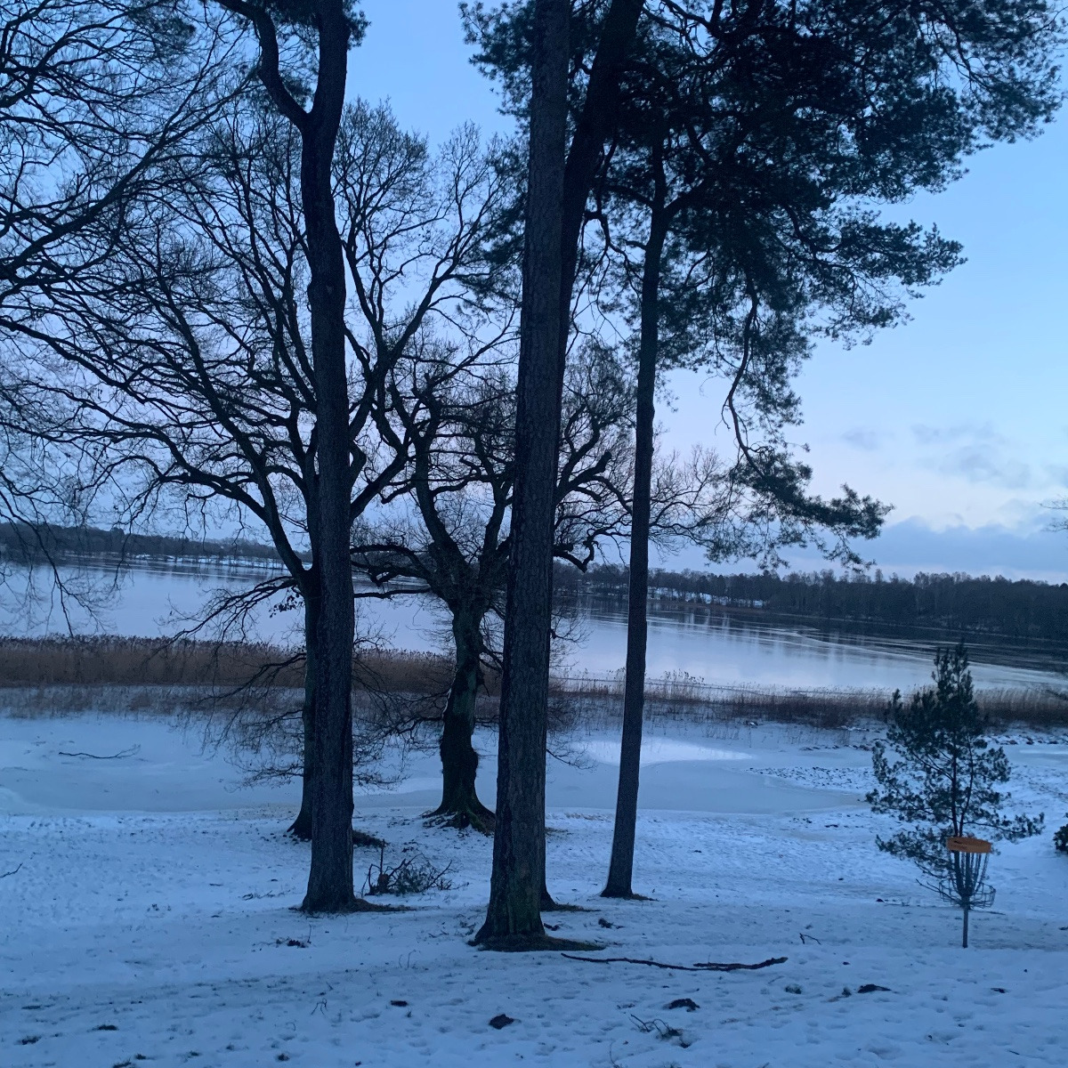 Linda elsker Børkops grønne områder tæt på skov og strand