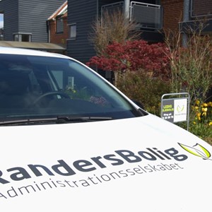 Opslagsbillede