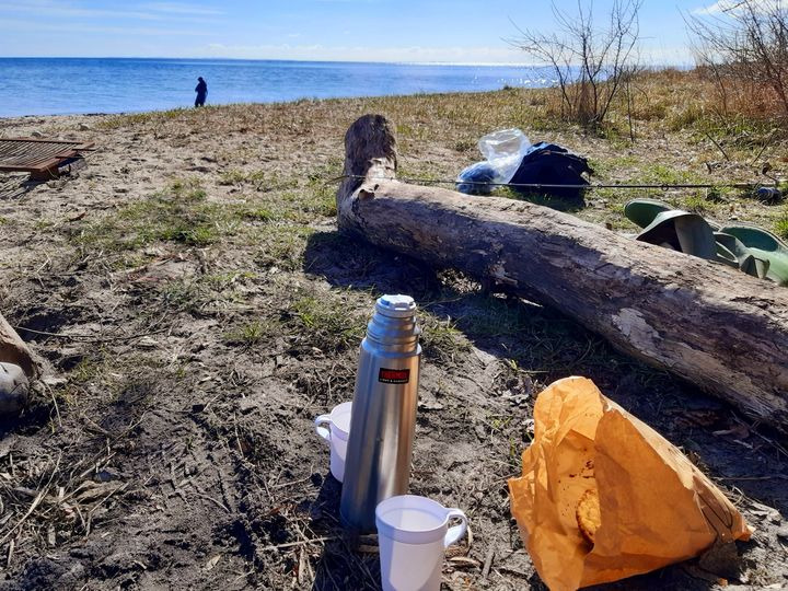 Opslagstavlen: Nyeste opdateringer fra Hammel