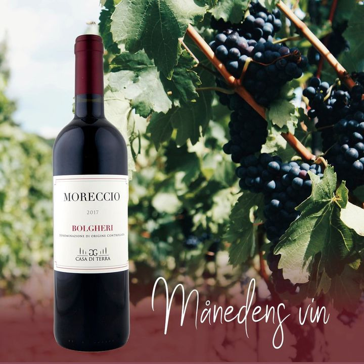 Se dagens updates fra Sabro her