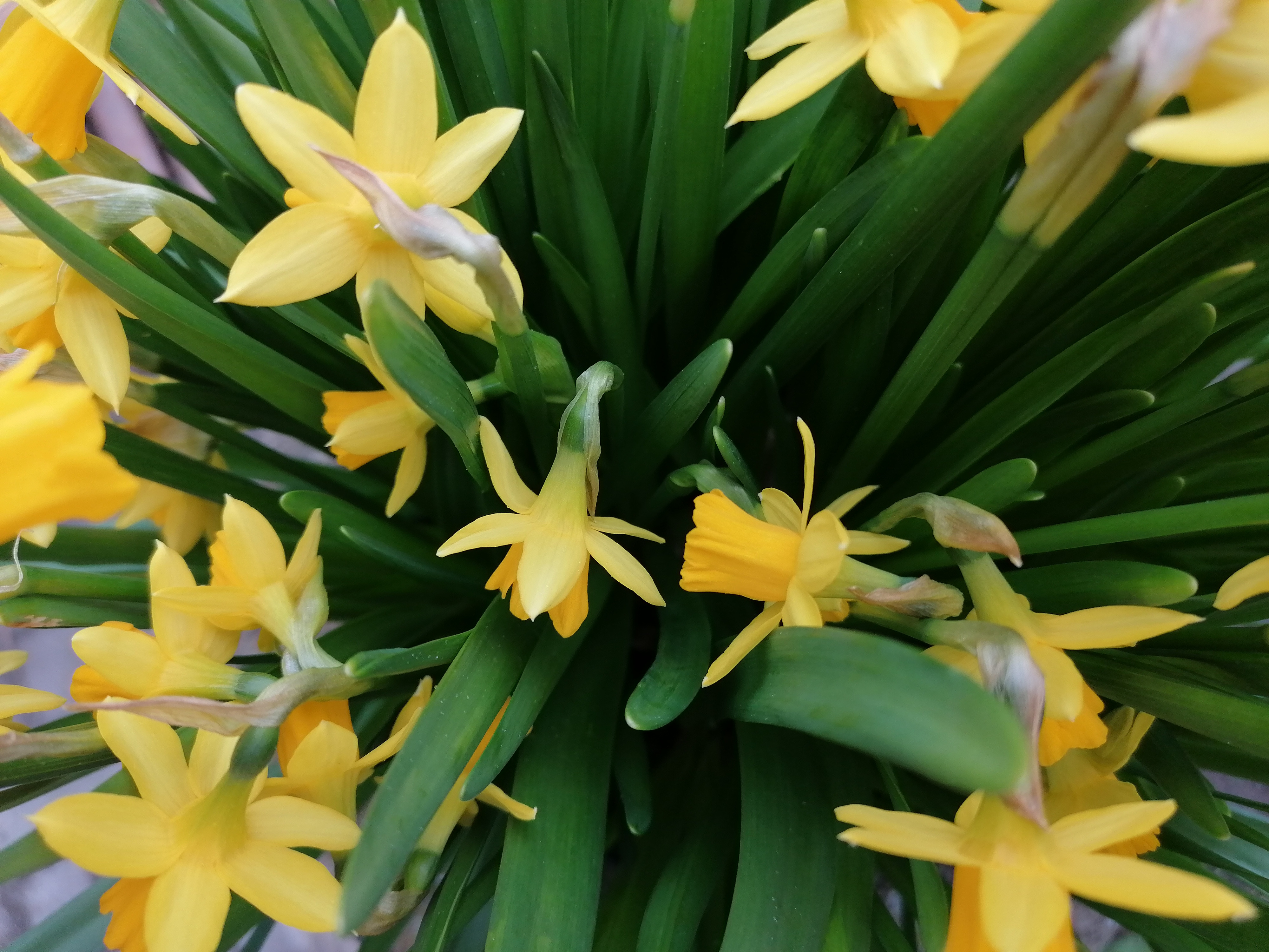 Familiedag på Fredensborg Museum: Oplev gamle påskelege