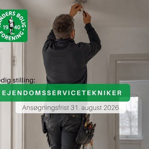 Opslagsbillede