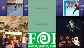Oplevelsesrige arrangementer i Birkerød: Håndbold, videnskabelige foredrag og teater