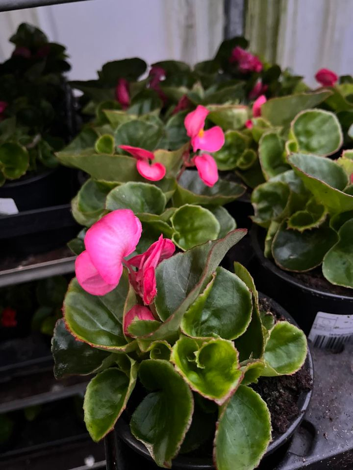 Hold dig ajour med dagens opdateringer fra Hedensted