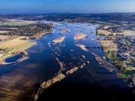 Silkeborg vil håndtere oversvømmelser og styrke biodiversiteten med ét samlet projekt langs Gudenåen