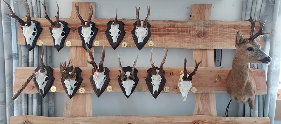 Trofædag 2025: Glæd jer til en pragtfuld dag i Grenaa