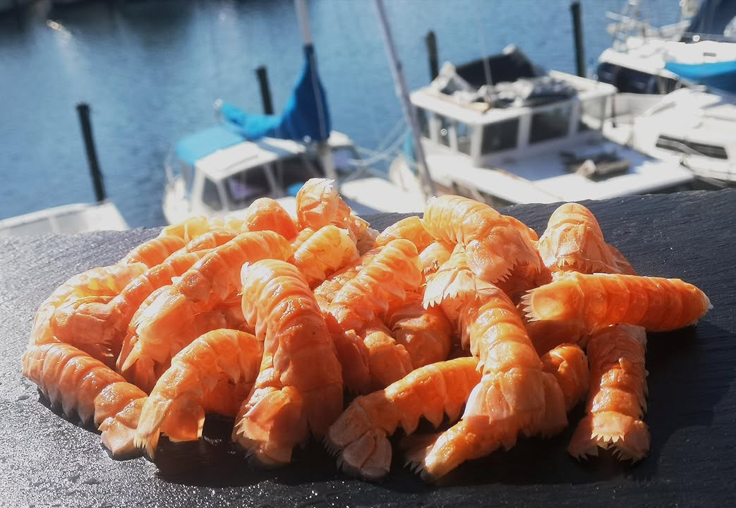 Tilbud fra Min Købmand Øster Bjerregrav: jomfruhummerhaler kun 139,95 kr. pr. pose