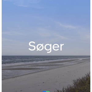 Opslagsbillede