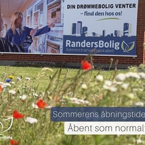 Opslagsbillede