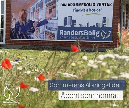 Opslagsbillede
