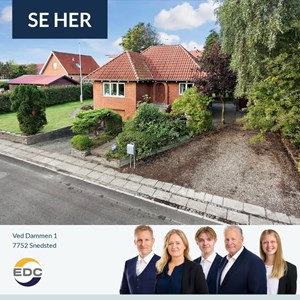 Opslagsbillede