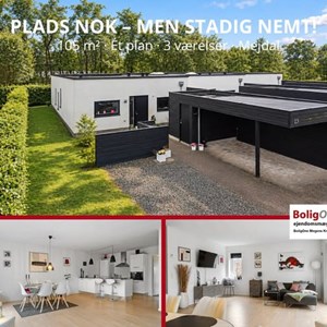 Opslagsbillede