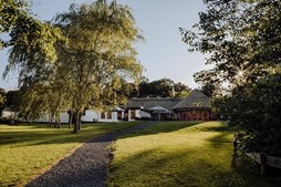 Pensionister fra Vallensbæk inviteres til skovtur med hygge og gastronomi