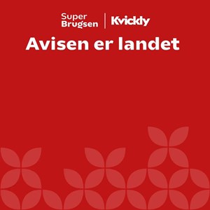 Opslagsbillede