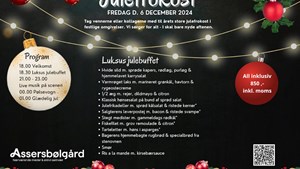Fælles julefrokost 2024: En aften med hygge og julestemning i Brørup