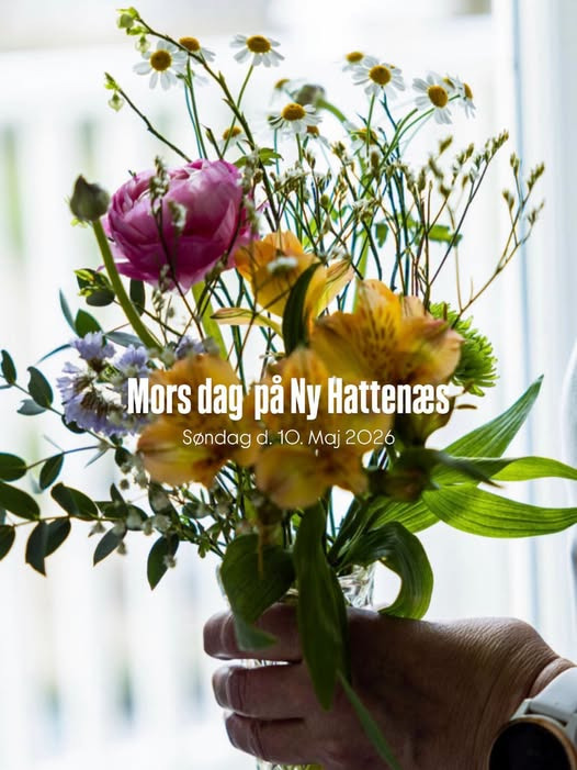 Mors dags frokost på Ny Hattenæs: Fejr mødrene med en lækker 2-retters menu