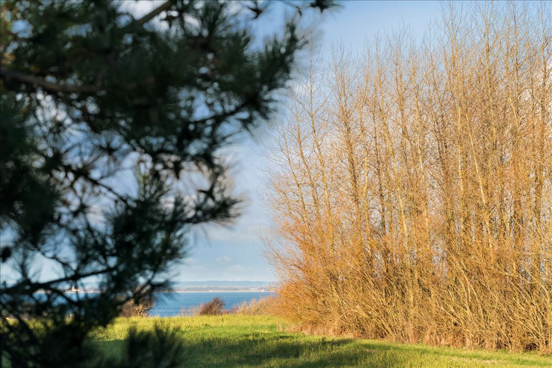 Til salg hos EDC Ejen­doms­grup­pen Struer: Egen lille skov og masser af luft omkring dig