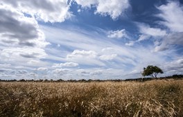 Ny pulje til lokale ildsjæle