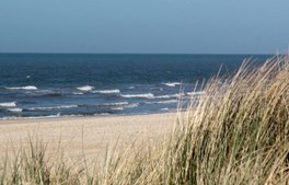 Hop i havet – for havets skyld og for din egen