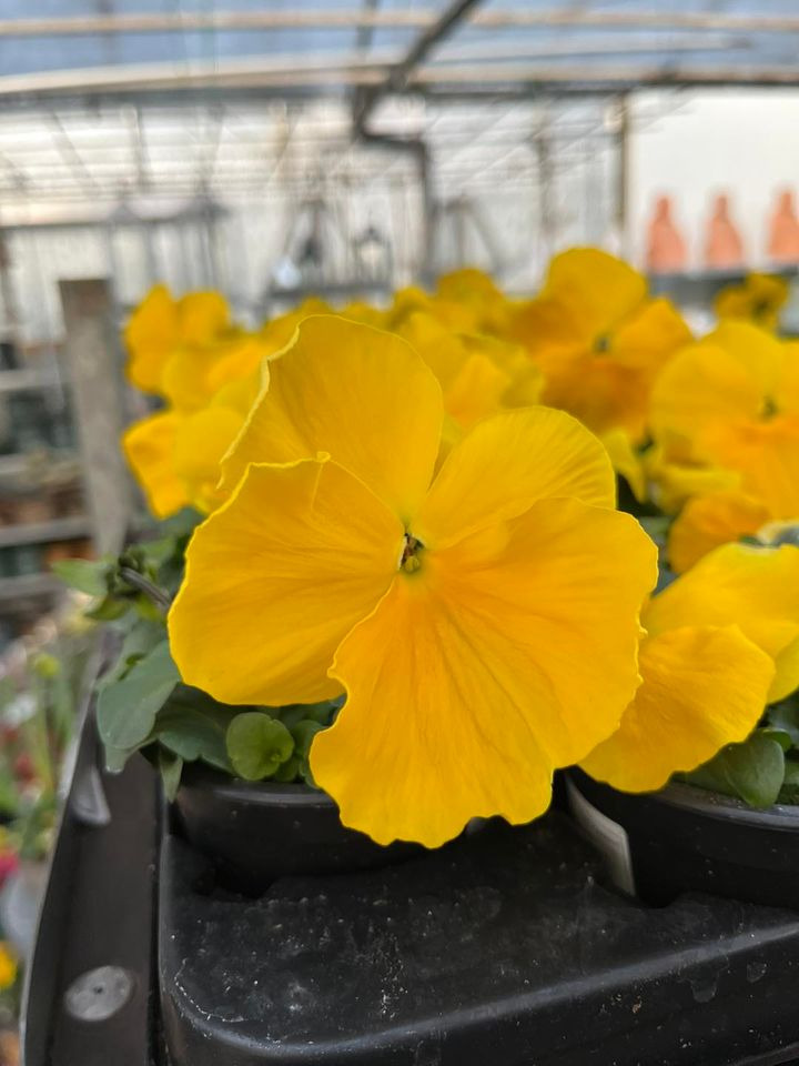 Opslagstavlen: Nyeste opdateringer fra Horsens