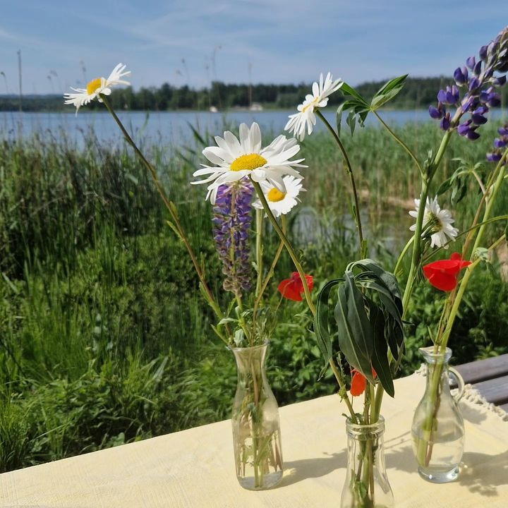 Hold trit med lokalområdet: Nyt fra Skanderborg