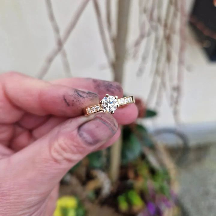 Hold trit med lokalområdet: Nyt fra Skive