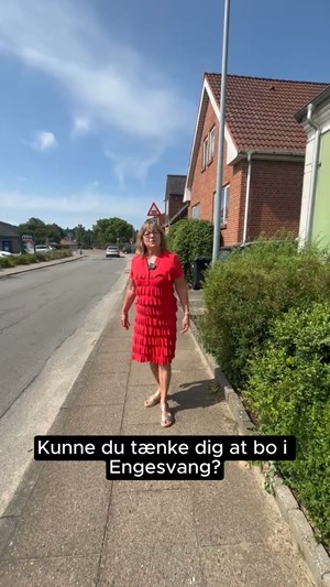opslagsbillede