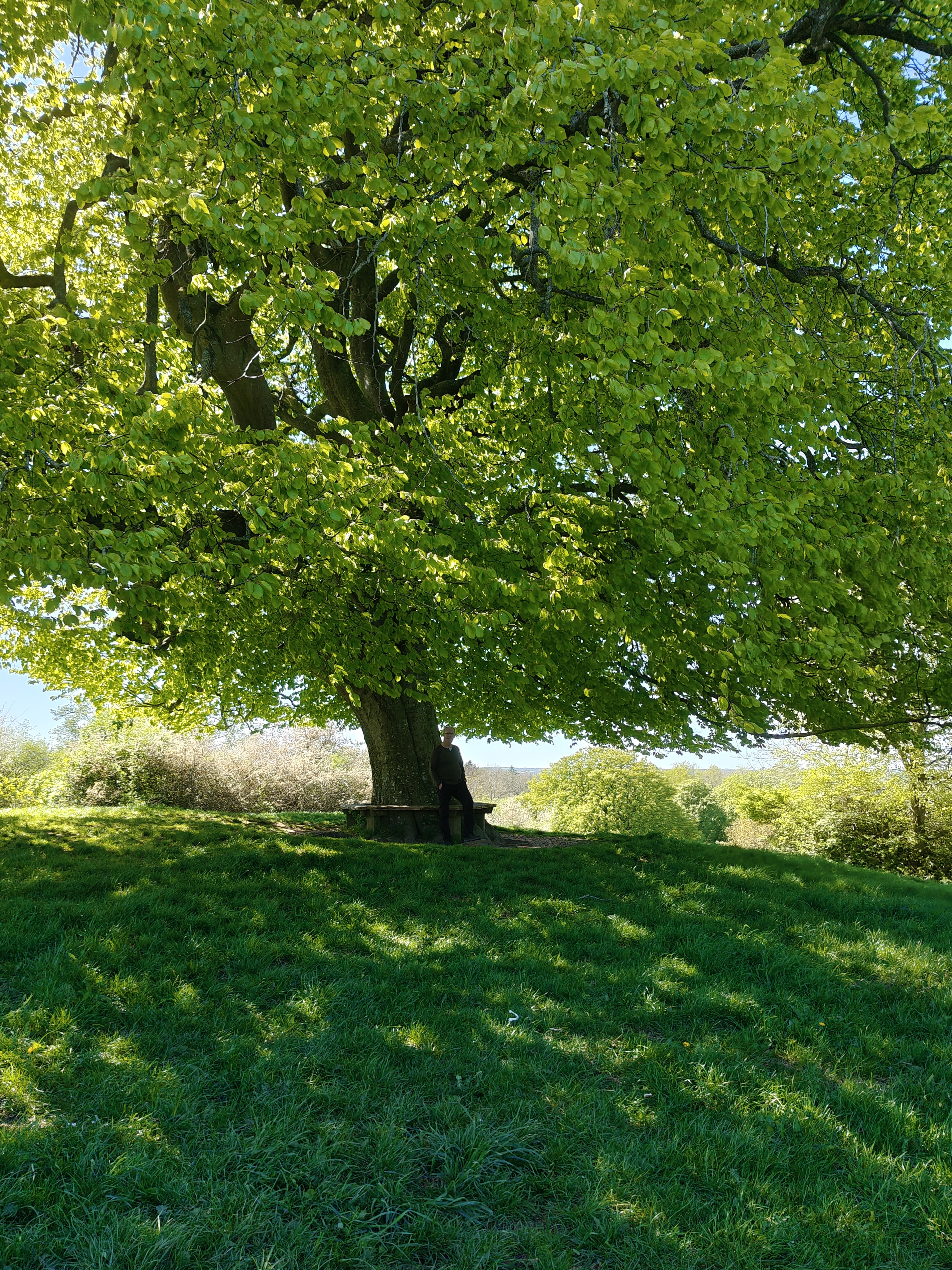 RESSOURCESTÆRKE M/KÉR  TIL NETVÆRK   