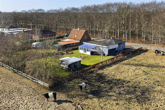 Elmevej 8 er til salg for kun 398.000 kr.: Se de billigste boliger til salg i Henne her