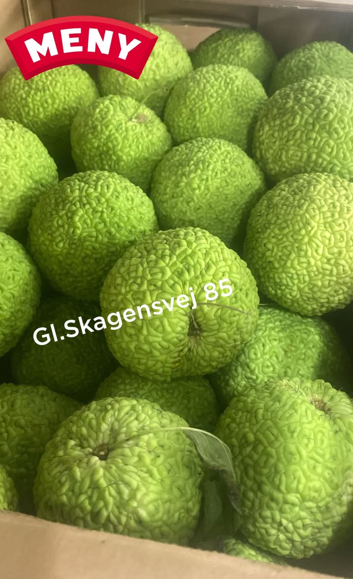 Meny Gl. Skagensvej tilbyder edderkoppe-skræmmere til kun 29,95 kr.