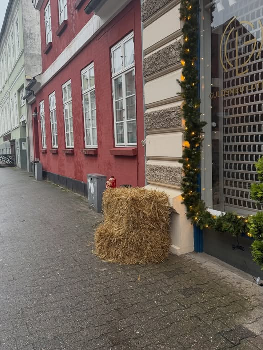 Guldsmed Lütken efterlyser stjålet juletræ tiltænkt en familie i nød