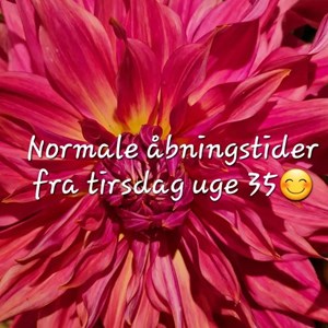 Opslagsbillede