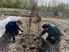 Jyske højskoler skal eksperimentere med jordbrug og naturterapi