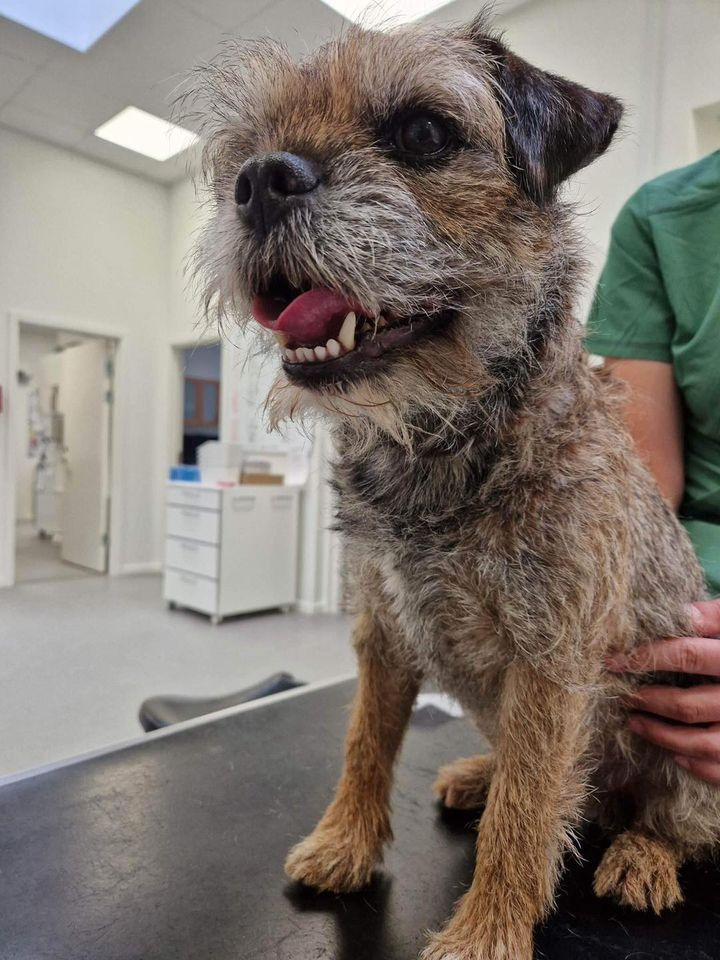 Se dagens updates fra Herning her