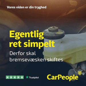 opslagsbillede