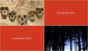 Foredrag om menneskets evolution og stemningsfuld vandring: Oplev Kruså den kommende uge