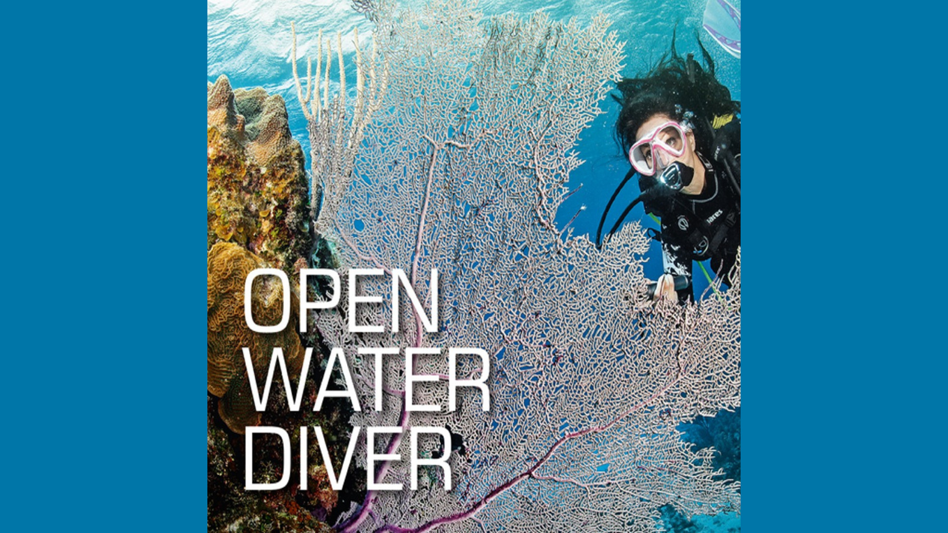 Bliv dykker i Nordjylland: Carlsens DykkerCenter uddanner trygge dykkere – fra første boble til Rescue