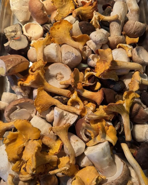 Østergade 1 præsenterer dagens surprise menu til forudbestilling