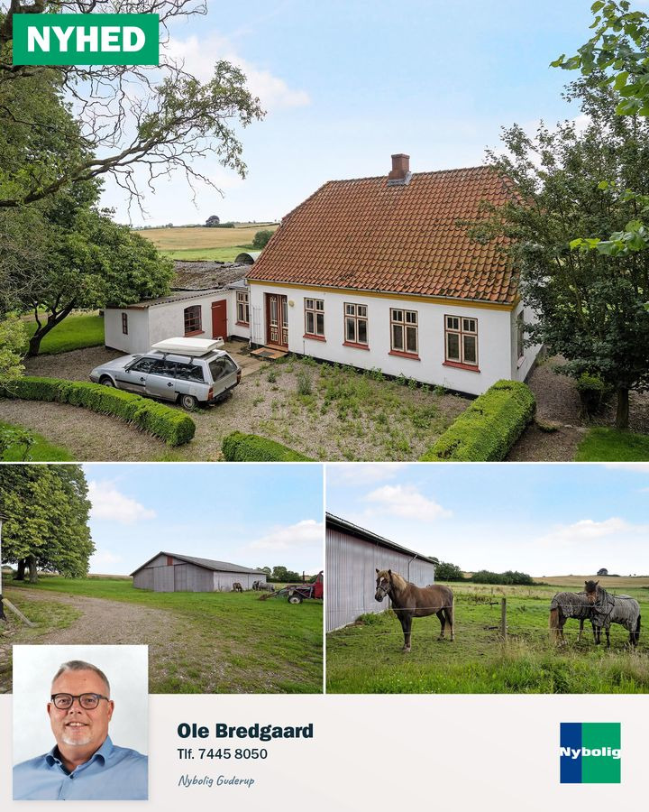 Opdatér dig her: Det nyeste fra Nordborg