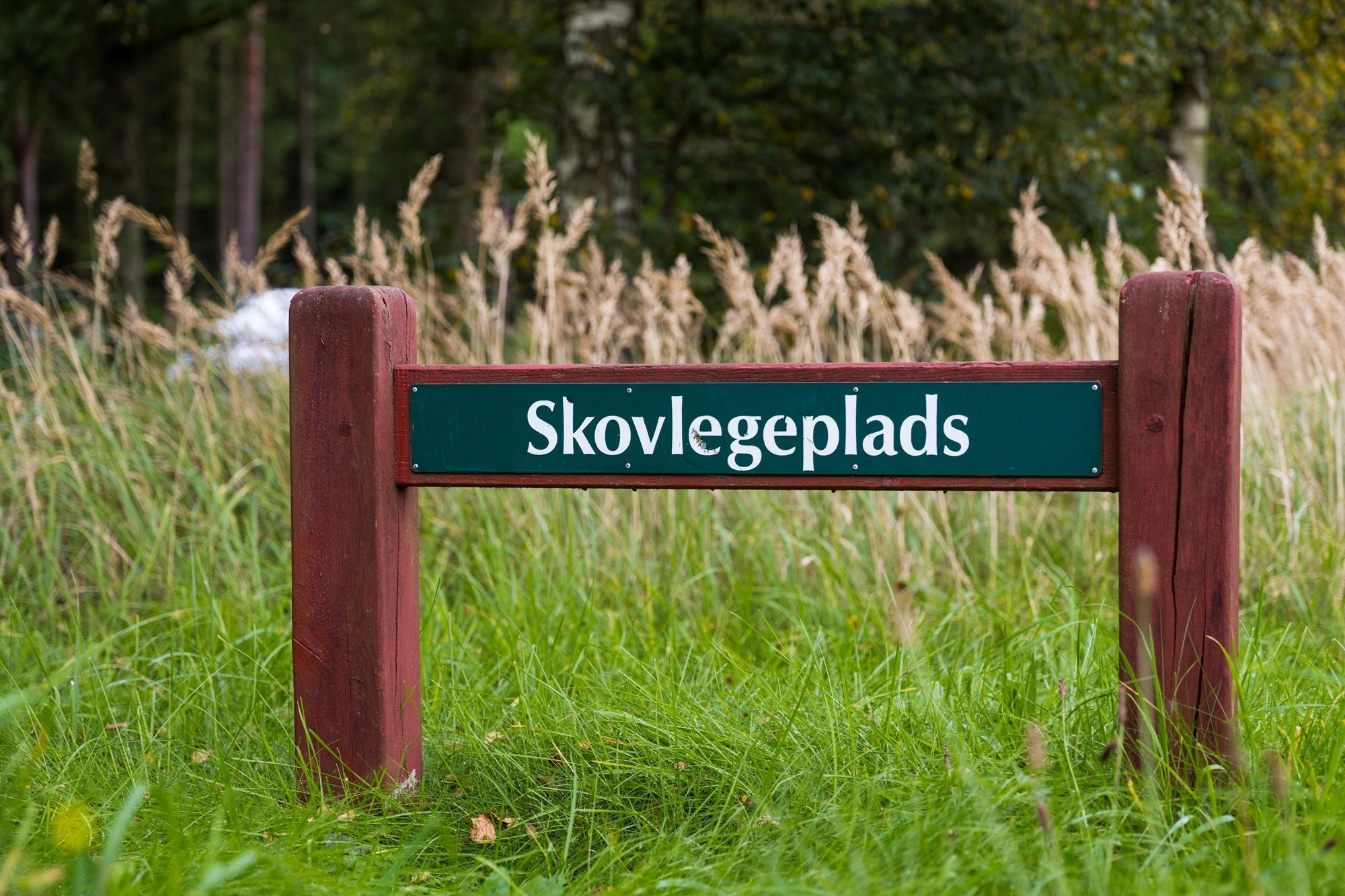 Jammerbugt Kommune sætter tidligere asylcenter til salg med blik på alsidige anvendelsesmuligheder