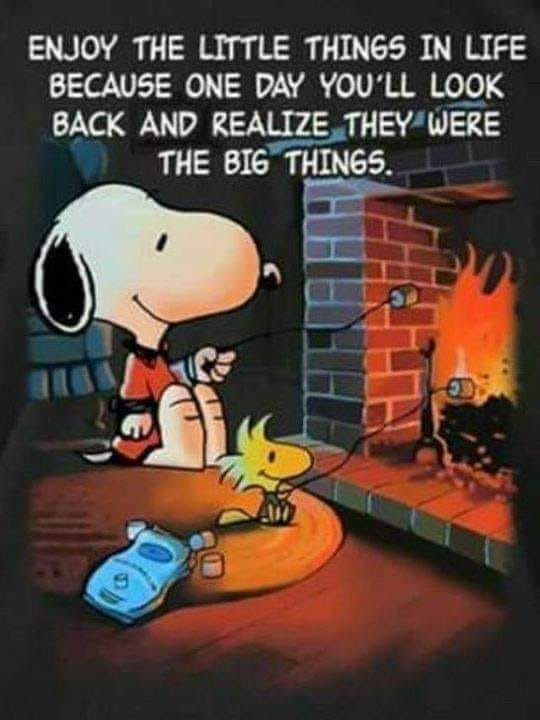 Det nyeste på Sæbys opslagstavle