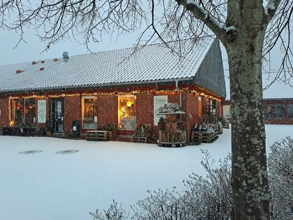 Tulipa Blomster & Havedesign inviterer til eventyrlig julestue i Vindinggård Center Vejle