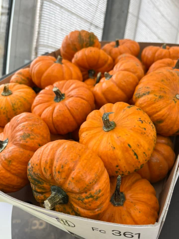 En finger på pulsen i Horsens