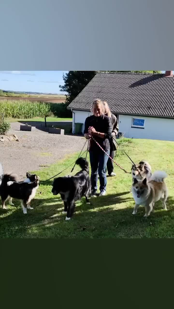 Nyt på opslagstavlen i Sæby