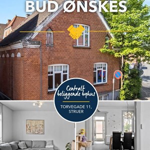 Opslagsbillede